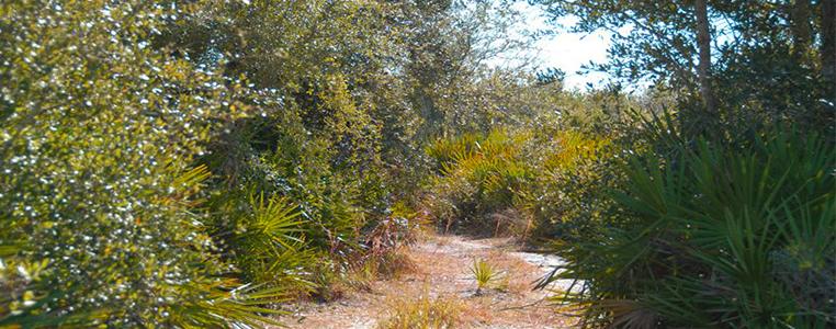 Peace River Preserve